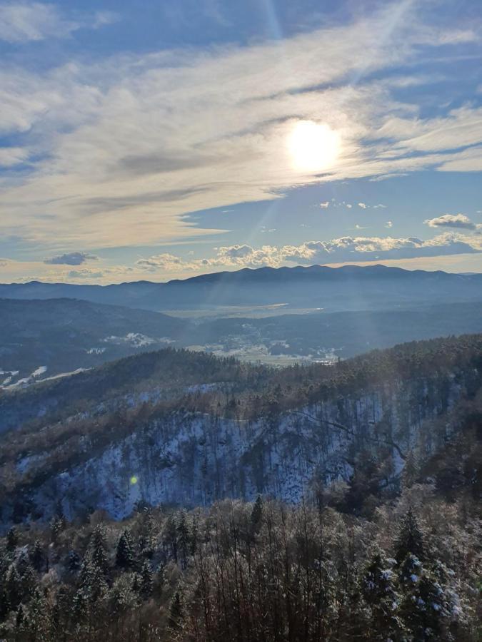 Apartmaji Anita Begunje pri Cerknici Buitenkant foto