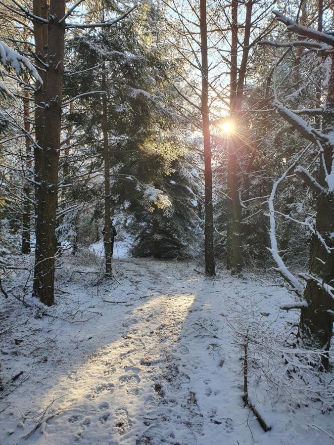 Apartmaji Anita Begunje pri Cerknici Buitenkant foto