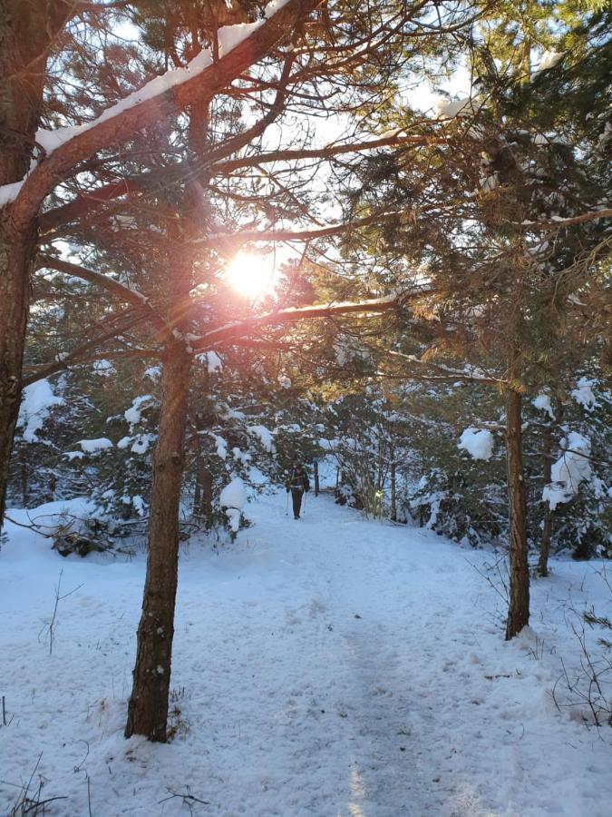 Apartmaji Anita Begunje pri Cerknici Buitenkant foto