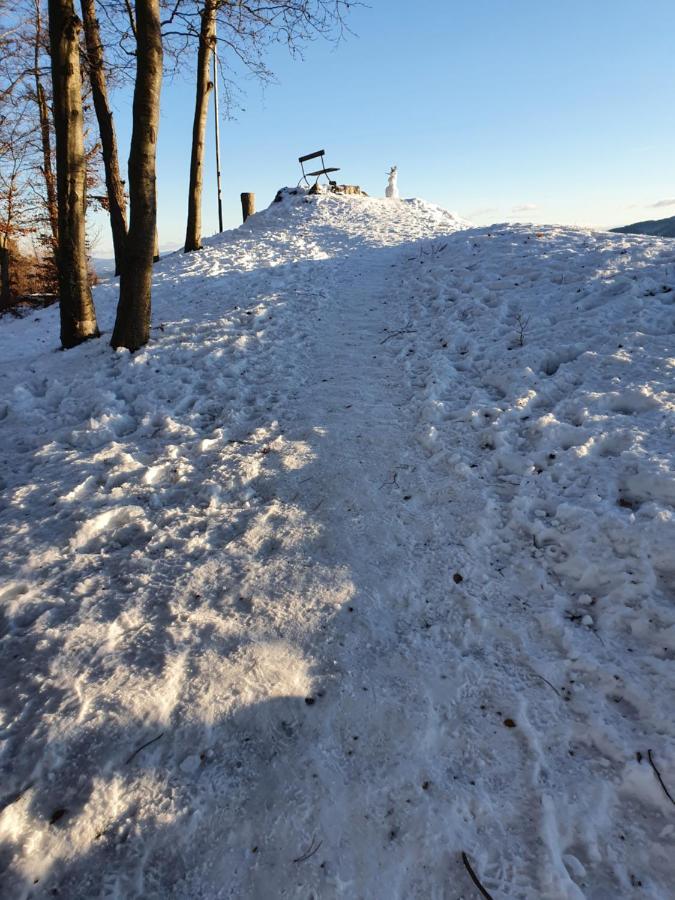 Apartmaji Anita Begunje pri Cerknici Buitenkant foto